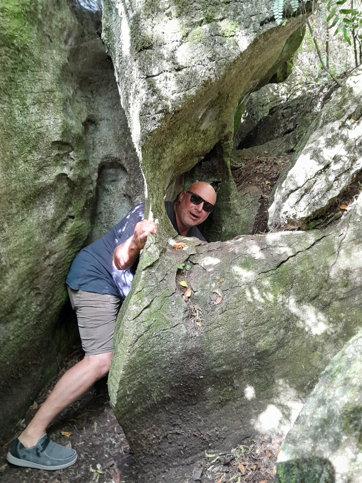 Near Takaka ~ Thursday, 5 March